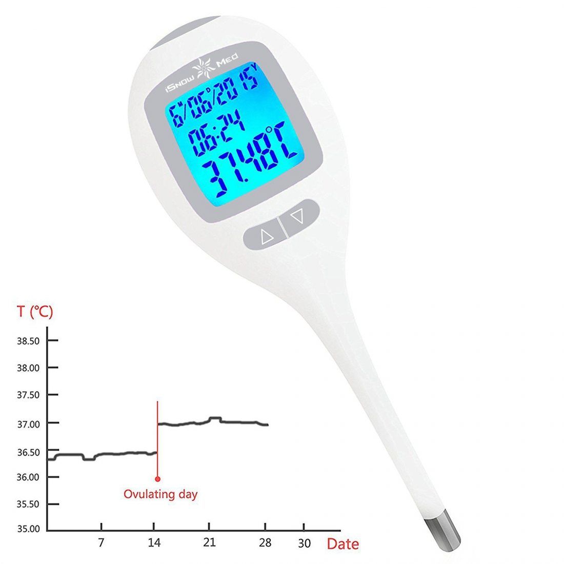Thermomètre basal numérique pour tester la période d'ovulation, précision +/- 0.05C, mémoire de température de 60 jours, horl