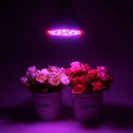 InteTech Led Grow Light, Plein Spectrum 78 LED Indoor Garden Plant Grow ampoule - 15W E27 (30 LED bleue & 42 LED rouge & 6 ja