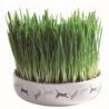 Trixie 42341 Coque en céramique pour chat herbe